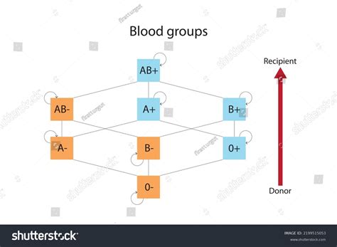 1 272 Donor Recipient Images Stock Photos Amp Vectors Shutterstock
