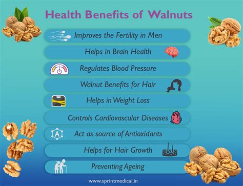 12 Health Benefits Of Walnuts Boost Heart Brain Bone Health