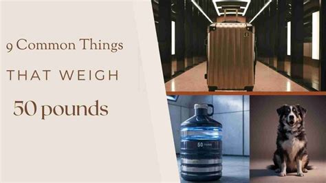 14 Common Items That Weigh About 50 Pounds 14 Common Items That Weigh About 50 Pounds