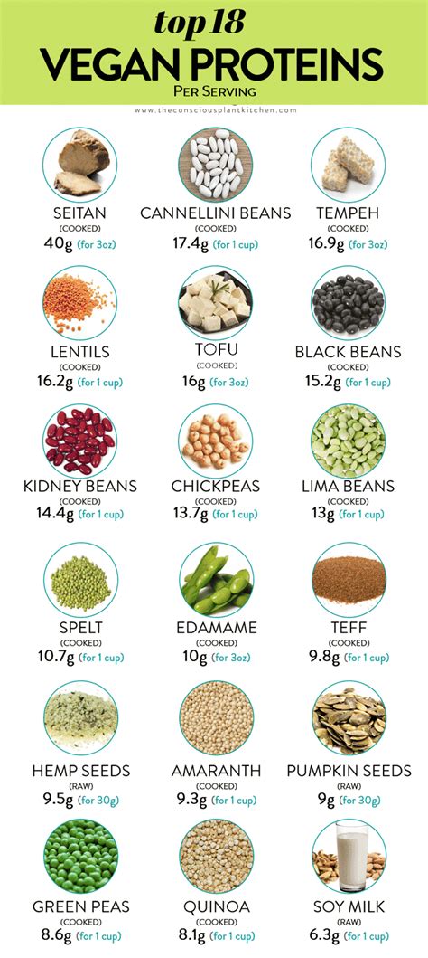 15 Great Vegetarian Protein Foods List How To Make Perfect Recipes 15 Great Vegetarian Protein Foods List How To Make Perfect Recipes