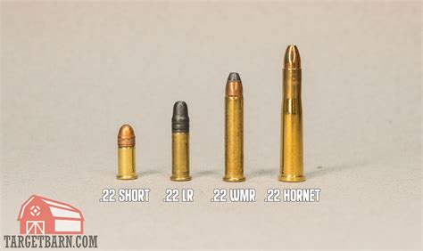 22Lr Ammo Size