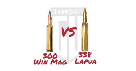 300 Win Mag Vs 338 Lapua Vs 338 Win Mag I Natchez