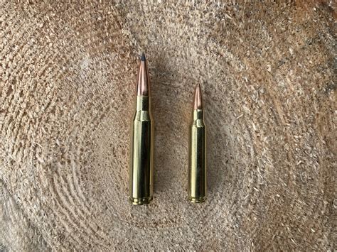 308 Winchester Vs 5 56 Nato 2025 Which Is Best