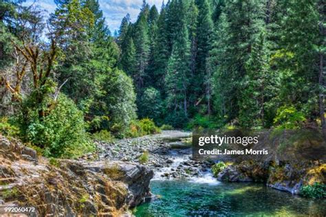372 Yuba City Stock Photos High Res Pictures And Images Getty Images Central Valley Diner Feather River 372 Yuba City Stock Photos High Res Pictures And Images Getty Images Central Valley Diner Feather River