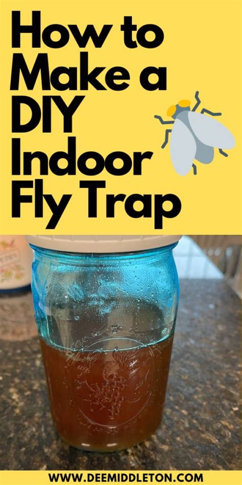 4 Effective Diy Fly Traps To Eliminate Indoor Infestation Manmadediy 4 Effective Diy Fly Traps To Eliminate Indoor Infestation Manmadediy
