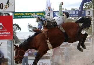 4 Expert Tips For Choosing A Winning Bet In Greyhound Racing Great Lakes Advocate Forster Nsw