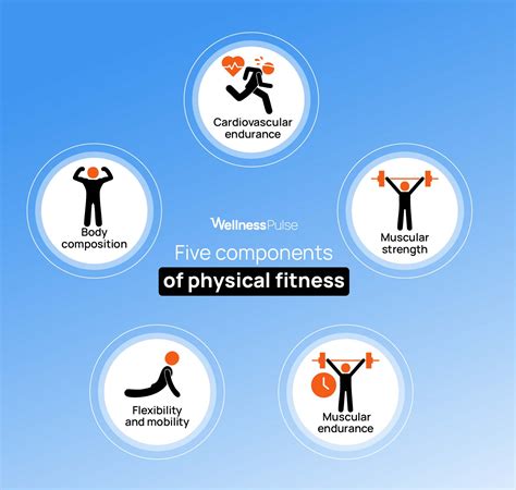 5 Components Of Fitness 5 Components Of Fitness