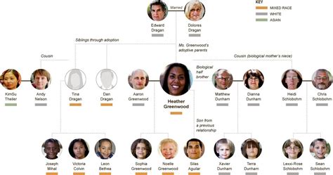 A Mixed Race Family Tree Graphic Nytimes Com A Mixed Race Family Tree Graphic Nytimes Com