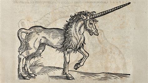 A Unicorn In The Bible Anabaptist World A Unicorn In The Bible Anabaptist World