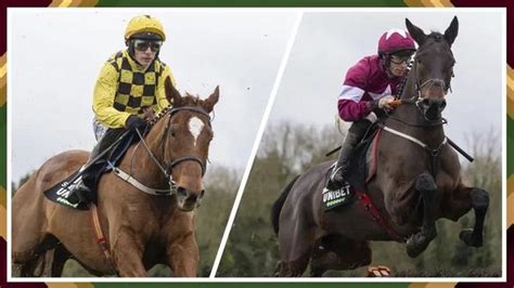 Alastair Down Betfair Community Horse Racing Alastair Down Betfair Community Horse Racing