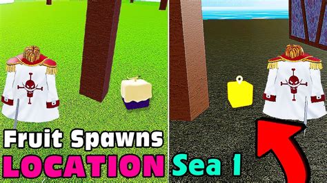 All Fruit Spawn Locations (Blox Fruits) Sea, 45% Off All Fruit Spawn Locations (Blox Fruits) Sea, 45% Off