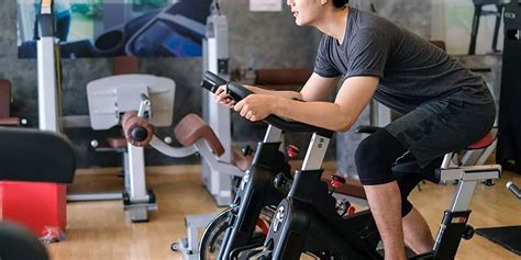 All You Need To Know About Fitness Equipment Wholesalers Fitness All You Need To Know About Fitness Equipment Wholesalers Fitness