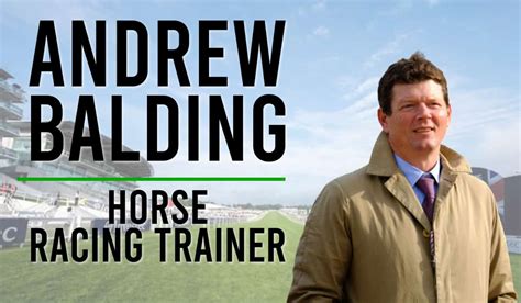 Andrew Balding Entries