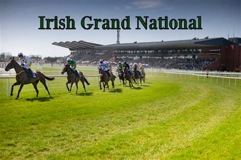 Any Second Now 2Nd In The 2025 Irish Grand National 2Nd In The 2024 Irish Grand National 2Nd In The 2022 Grand National Any Second Now 2Nd In The 2025 Irish Grand National 2Nd In The 2024 Irish Grand National 2Nd In The 2022 Grand National