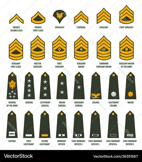 Army Rank Eagle Vector Images Over 240