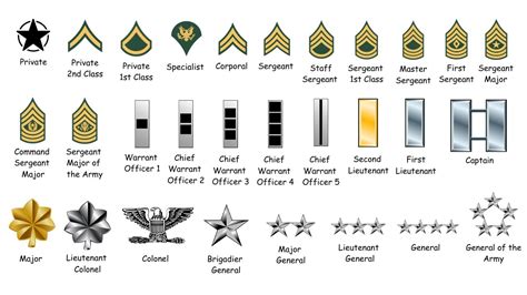 Army Ranks Military Ranks Ranking United States Army Army Army Ranks Military Ranks Ranking United States Army Army