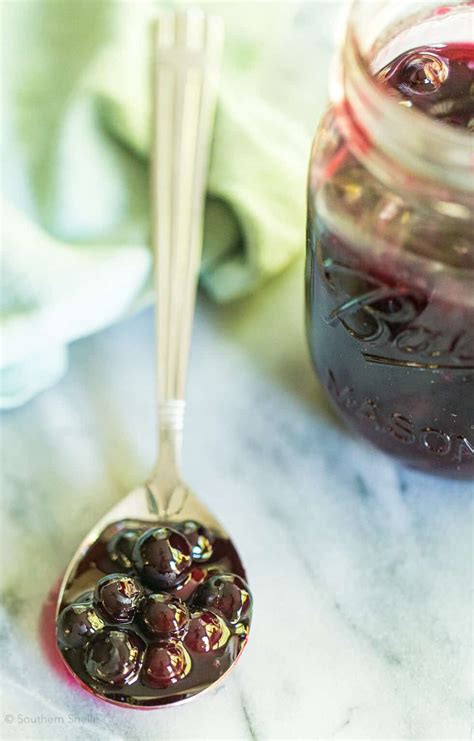 Blueberry Topping Southern Shelle Blueberry Topping Southern Shelle