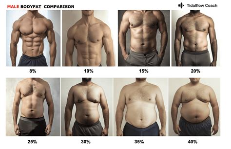 Body Fat Percentage Chart For Men Bodyspec