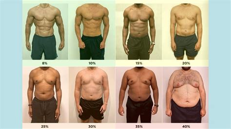 Body Fat Percentage Photos