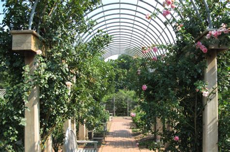 Bon Air Park Arlington Va