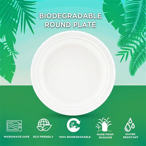 Cheap Eco Friendly Disposable Plates At Sandra Raines Blog Cheap Eco Friendly Disposable Plates At Sandra Raines Blog