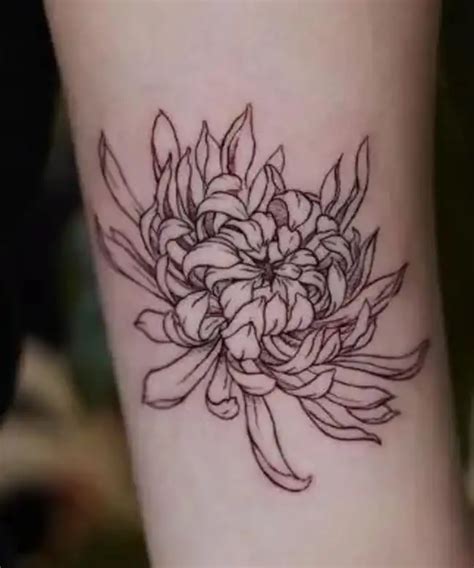 Chrysanthemum Tattoo Styles And Symbolism