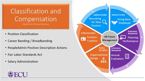 Classification And Compensation Human Resources