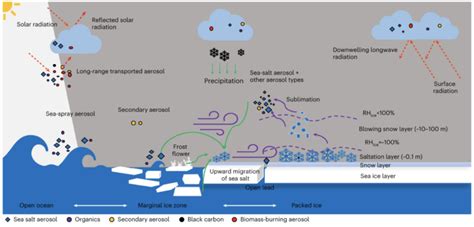 Clouds Formed With Sea Salt Contribute To Arctic Warming British