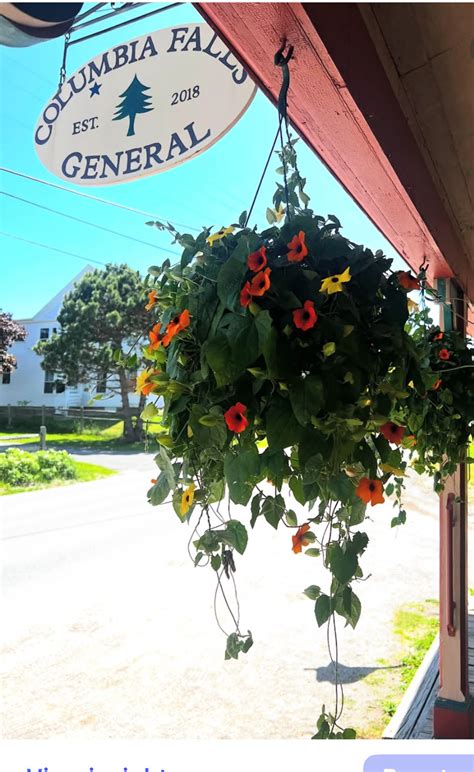Columbia Falls General Market And Cafe
