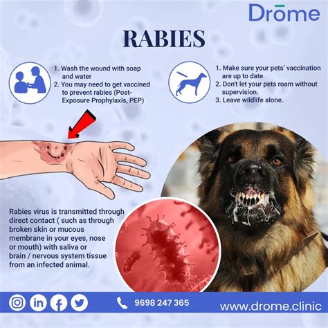 Do Rabies Shots Make Dogs Sick
