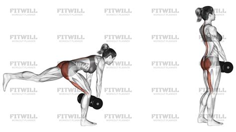 Dumbbell Single Leg Deadlift Exercise Guide Video Techniques