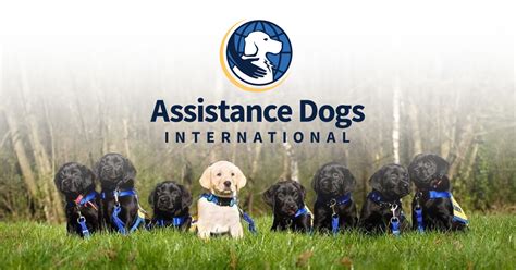 Employment Opportunities Assistance Dogs International Employment Opportunities Assistance Dogs International