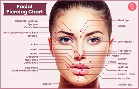 Face Piercing Chart Face Piercings Piercing Chart Facial Piercings