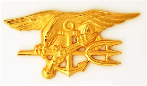 File U S Navy Seals Special Warfare Insignia Jpg Wikimedia Commons File U S Navy Seals Special Warfare Insignia Jpg Wikimedia Commons