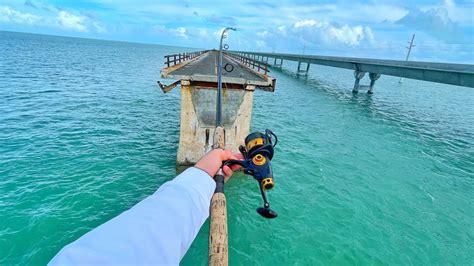 Fishing 7 Mile Bridge Marathon Florida Video In 2024 Fishing Hook Fishing 7 Mile Bridge Marathon Florida Video In 2024 Fishing Hook