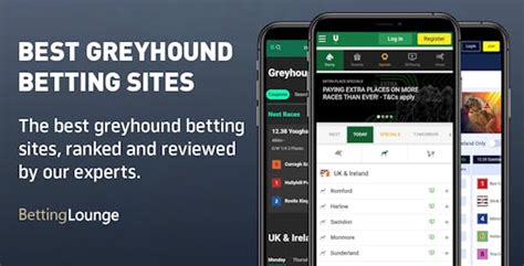 Greyhound Betting Sites Uk 2026 Best Greyhound Bookies