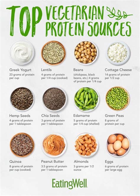 High Protein Foods List Vegetarian At Toby Kunkle Blog High Protein Foods List Vegetarian At Toby Kunkle Blog