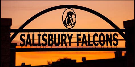 Home Salisbury Township School District