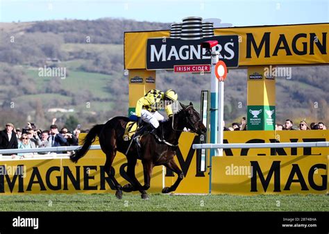 Horse Racing Al Boum Photo Wins Cheltenham Gold Cup Yahoo Sports Horse Racing Al Boum Photo Wins Cheltenham Gold Cup Yahoo Sports
