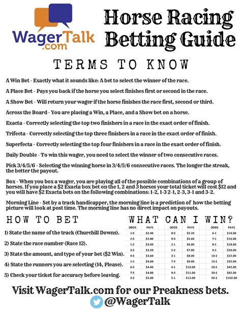 Horse Racing Beginners Guide Horse Racing Betting Horse Racing Beginners Guide Horse Racing Betting