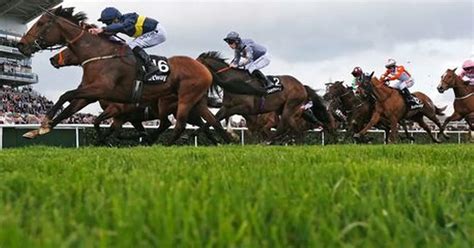 Horse Racing Results In Full From Newcastle Ludlow Doncaster And Newcastle Daily Record Horse Racing Results In Full From Newcastle Ludlow Doncaster And Newcastle Daily Record