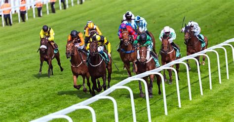 Horse Racing Results Schedule Latest News