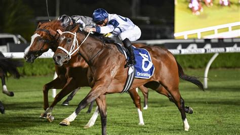 Horse Racing Tips Best Bets And Inside Mail For Rosehill On February