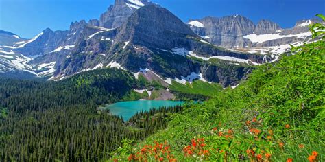 How Cheap Is Montana At Carolann Ness Blog How Cheap Is Montana At Carolann Ness Blog