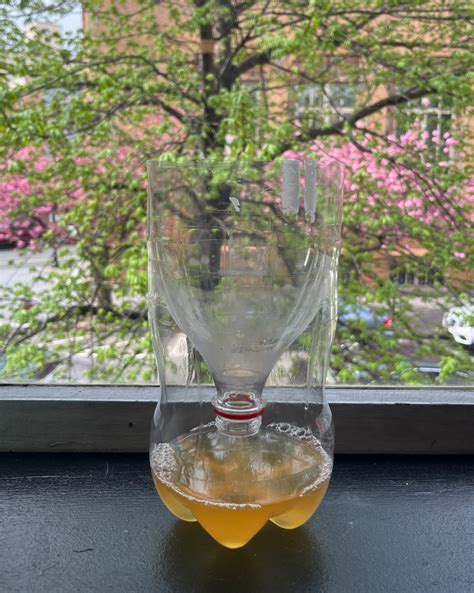 How To Make The Best Homemade Fly Trap For Indoors And Outside How To Make The Best Homemade Fly Trap For Indoors And Outside
