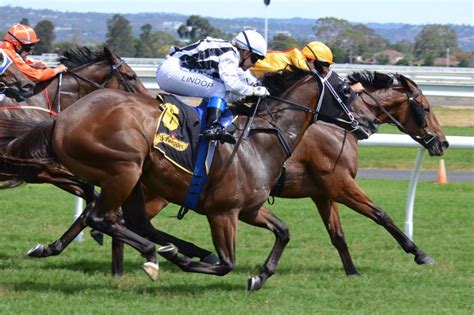 How To Speed Up Horse Recovery After Race Carnogel