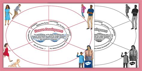 Human Development Around The Table Twinkl