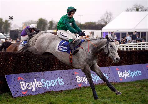 Irish Grand National Tips He Has The Perfect Profile Why This Horse Can Win Racing Post Irish Grand National Tips He Has The Perfect Profile Why This Horse Can Win Racing Post