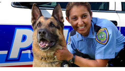 K9 Officer Career And Salary Information K9 Officer Career And Salary Information