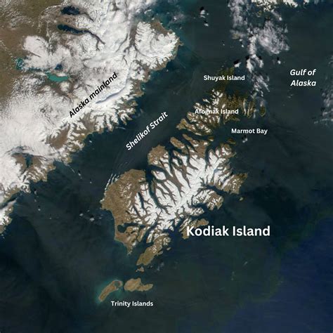 Kodiak Island Blog Articles